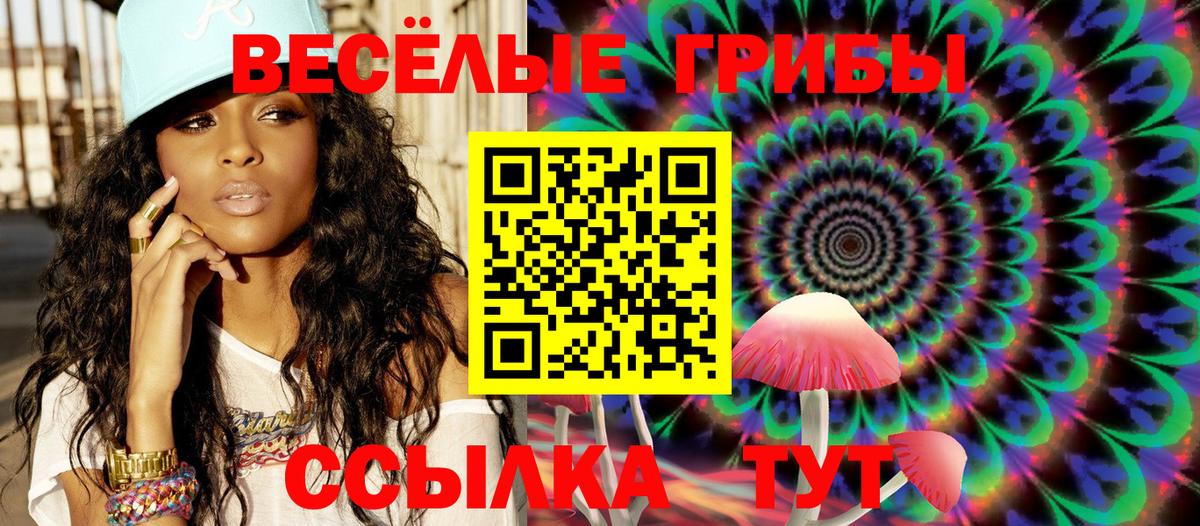 Галлюциногенные грибы Psilocybe Гулькевичи